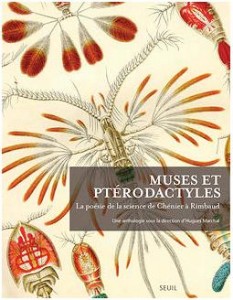 La poésie de la science – Avec Hugues Marchal, Laurence Guellec, Murielle Louâpre & David Botbol
