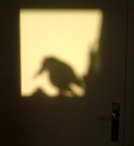 «  La Hasse au Brègue » de Dominique Meens