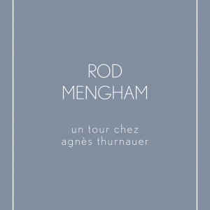 Rod Mengham – Un tour chez Agnès Thurnauer