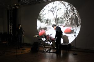 Olivia Rosenthal & Eryck Abecassis – « Macadam Animal trois chapitres (rats, corbeaux, termites) »