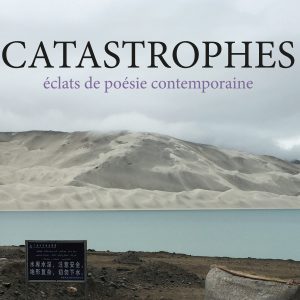 La Revue Catastrophes