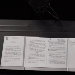 « Je suis honorée d’être née dans ta tête »