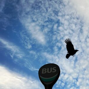 Revue Catastrophes n°5 : La fin de l’aventure