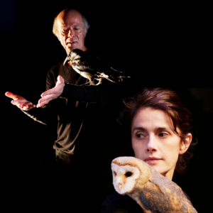 “La Rive dans le noir” Performance de ténèbres aux oiseaux