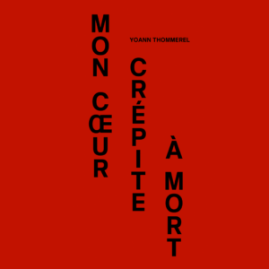 Yoann Thommerel, Mon cœur crépite à mort