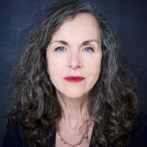 Agnès Desarthe, Qui se ressemble 